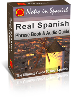 Real Spanish Phrase Book