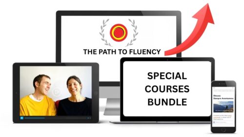 Path to Fluency